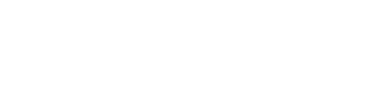 SinceVision